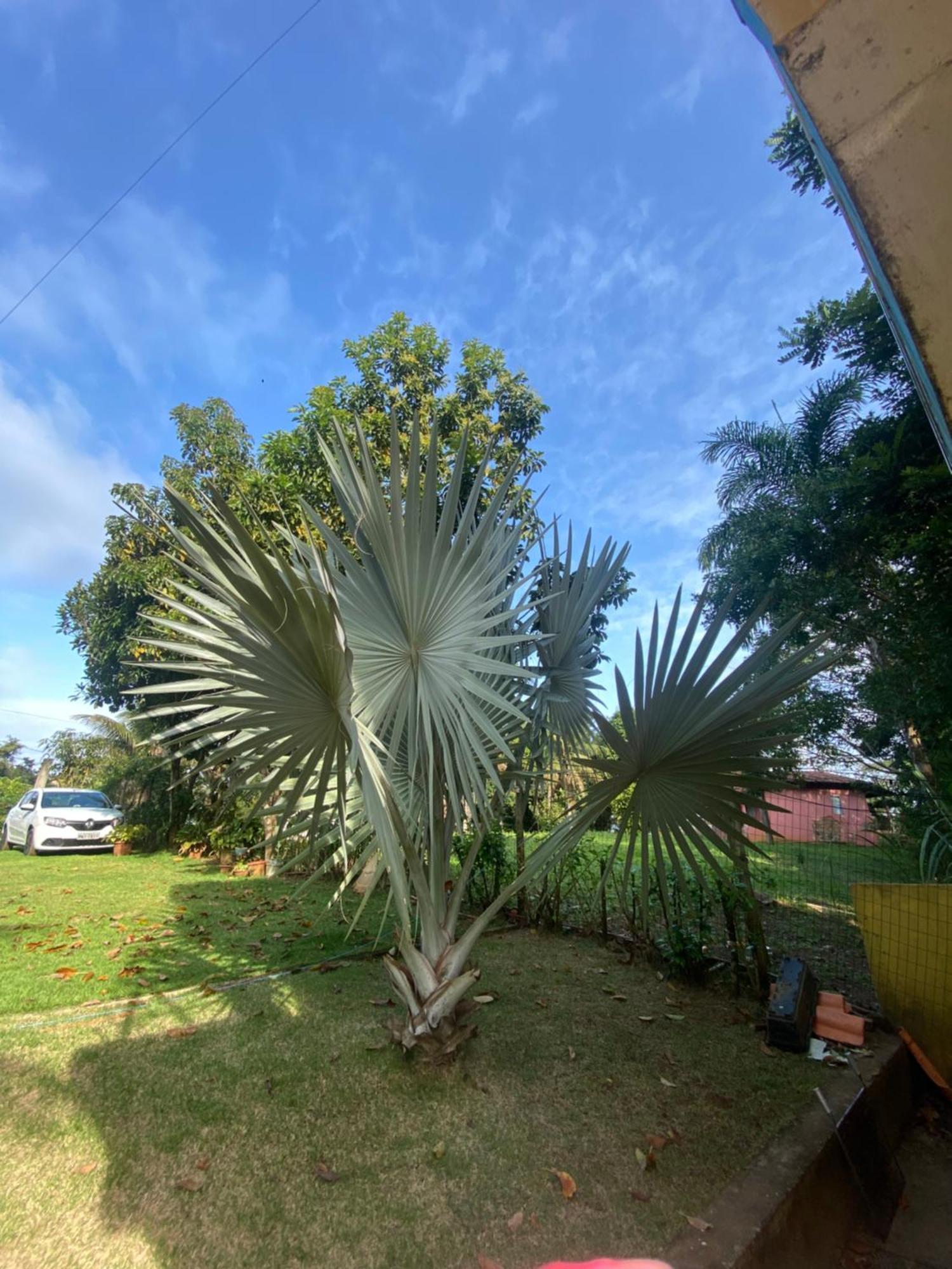 Residencial Sitio Paraiso Apartment *